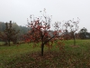20161117_115213