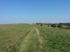 20160827_150941